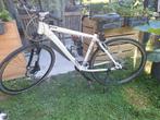 Gazelle Playa parlemoer wit/mat zwart, framemaat 50, Ophalen, Hardtail, Heren, 49 tot 53 cm