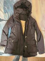 Dames Air Force winterjas maat S, Kleding | Dames, Jassen | Winter, Ophalen of Verzenden, Zo goed als nieuw, Maat 38/40 (M)