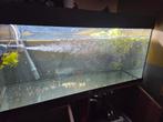 Juwel aquarium - Als nieuw - 100 cm., Dieren en Toebehoren, Ophalen, Zo goed als nieuw, Leeg aquarium