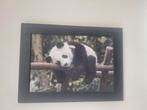 Afbeelding panda, Ophalen of Verzenden, Gebruikt, Minder dan 50 cm, Minder dan 50 cm