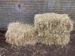 Hooi baaltjes voor paarden, konijnen, geiten enz., Dieren en Toebehoren, Dierenvoeding, Ophalen, Vee