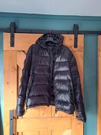 Peuterey winterjas/donsjack/puffer jacket, Ophalen of Verzenden, Zo goed als nieuw, Maat 56/58 (XL), Zwart