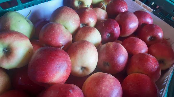 Appels en (stoof)peren, Diversen, Levensmiddelen, Ophalen