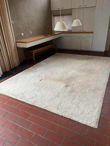 Carpet Sign Sauvage wollen tapijt 225x325cm