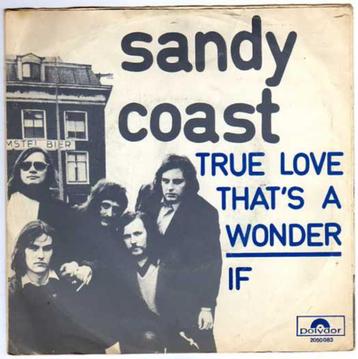 Nederbeat- Sandy Coast- True Love is a Won beschikbaar voor biedingen