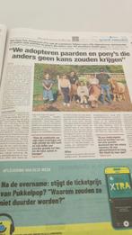 Pony pals playground zoekt hulp!!, Dieren en Toebehoren, Ophalen of Verzenden, Nieuw