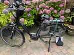 E-bike Pegasus Ravenna, Gebruikt, 47 tot 51 cm, 50 km per accu of meer, Ophalen
