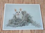 Witte poes tussen kerstversiering, Verzamelen, Ansichtkaarten | Dieren, Verzenden, 1980 tot heden, Gelopen, Hond of Kat