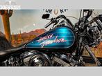 HARLEY-DAVIDSON SOFTAIL STANDARD FXST CUSTOM (bj 1989), Motoren, Motoren | Harley-Davidson, 2 cilinders, 1338 cc, Bedrijf, Meer dan 35 kW