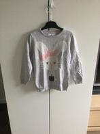 Leuk trui met haasje zgan maat 122-128, Kinderen en Baby's, Kinderkleding | Maat 122, Verzenden, Zo goed als nieuw, Meisje, Trui of Vest