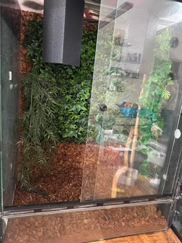 Terrarium 40 x 90 x 81 beschikbaar voor biedingen