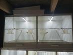 Te koop dubbele broedkooi, 50x40x40, Dieren en Toebehoren, Ophalen of Verzenden, Zo goed als nieuw, Hout, Broedkooi of Kweekkooi