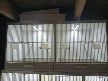 Te koop dubbele broedkooi, 50x40x40  beschikbaar voor biedingen