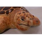 Loggerhead Turtle – Schildpad beeld Lengte 119 cm, Ophalen, Nieuw
