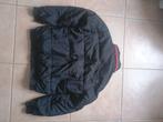 Winter jas heren, Everlast, Zwart, Maat 56/58 (XL), Ophalen of Verzenden