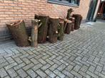 Haardhout, Tuin en Terras, Haardhout, Minder dan 3 m³, Ophalen, Overige houtsoorten, Stammen