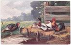 Reclamekaart 1909 P. Sluis Zaadhandel Haan Kip Eend Kalkoen, Ophalen of Verzenden, Voor 1920, Gelopen, Overige thema's