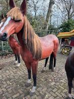 Levensgrote nep paarden, Ophalen of Verzenden, Overige soorten