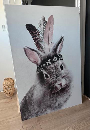 Dibond schilderij konijn 80x120 beschikbaar voor biedingen