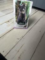 Kitten voer welkoop, Dieren en Toebehoren, Dierenvoeding, Ophalen, Kat
