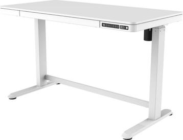 Regal Zit Sta Bureau Elektrische Hoogteverstelling - 120x60c beschikbaar voor biedingen