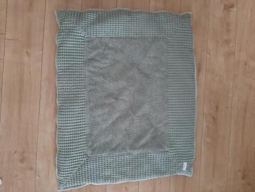 Boxkleed Koeka beschikbaar voor biedingen