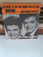 The Everly brothers, Ophalen of Verzenden, Zo goed als nieuw, Pop
