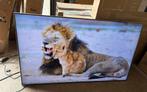 Samsung QE65QN85BATXXN (mp169), Ophalen, 50 Hz, Zo goed als nieuw, Samsung