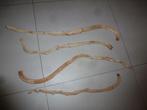 NIEUW 4 super mooie dunne blanke houten decoratie stronken, Ophalen of Verzenden, Nieuw, Materiaal