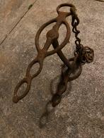 Oude paardenbit, Ophalen