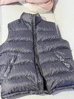 Dior oblique bodywarmer donkergrijs, Kleding | Heren, Ophalen of Verzenden, Zo goed als nieuw, Grijs