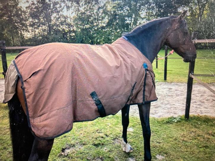 Paarden regendeken 185 cm, Dieren en Toebehoren, Paarden en Pony's | Dekens en Dekjes, Gebruikt, Deken, Ophalen of Verzenden