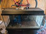120l aquarium with furniture, Ophalen, Zo goed als nieuw, Gevuld zoetwateraquarium