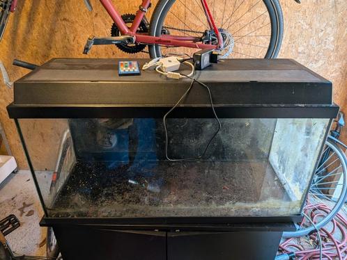 120l aquarium with furniture, Dieren en Toebehoren, Vissen | Aquaria en Toebehoren, Zo goed als nieuw, Gevuld zoetwateraquarium