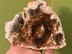 Versteend hout schijf plak dubbel gepolijst mineralen, Verzamelen, Mineralen en Fossielen, Ophalen of Verzenden, Mineraal
