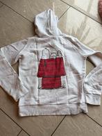 Snoopy Hoodie maat M, Peanuts, Ophalen of Verzenden, Gedragen