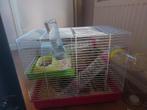 Ik verkoop mijn goud hamster, Minder dan 60 cm, Kooi, Gebruikt, Minder dan 75 cm