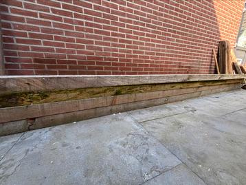Douglas palen 14,5x7 diverse lengtes  beschikbaar voor biedingen
