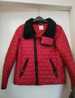 Rode gewatteerde jas met zwarte kraag - Maat L Sandwich, Kleding | Dames, Maat 42/44 (L), Ophalen of Verzenden, Zo goed als nieuw