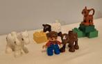 Duplo 5646, Kinderen en Baby's, Speelgoed | Duplo en Lego, Ophalen of Verzenden, Gebruikt, Complete set, Duplo
