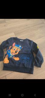 Trui paw patrol (maat 110), Ophalen of Verzenden, Zo goed als nieuw, Jongen, Trui of Vest