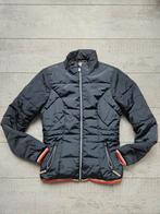 Gaastra Dames Winterjas Maat S - Zonder Muts, Gaastra, Zwart, Ophalen of Verzenden, Zo goed als nieuw