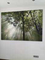 Grote poster, Huis en Inrichting, Woonaccessoires | Schilderijen, Tekeningen en Foto's, Ophalen, 125 cm of meer, Zo goed als nieuw