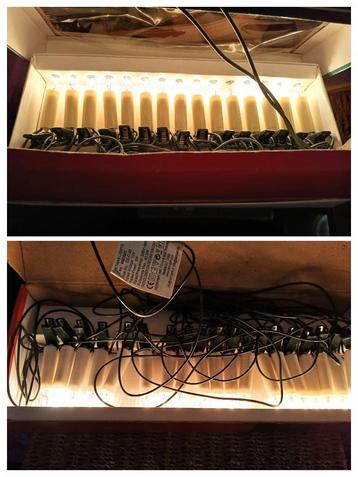 curiosa beschikbaar voor biedingen