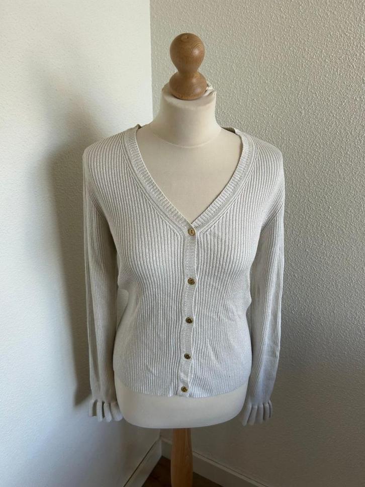 Fabienne Chapot maat L Simone cardigan vest 407, Kleding | Dames, Truien en Vesten, Zo goed als nieuw, Maat 42/44 (L), Wit, Ophalen of Verzenden