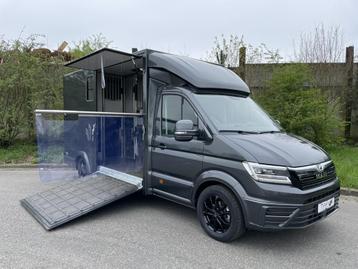 MAN TGE Paardenwagen / Horsetruck / Veewagen (bj 2024) beschikbaar voor biedingen