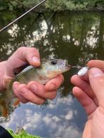 Deel 7) 3 sets van elk 4 stuks Forel Ruisvoorn Baarsspinners, Watersport en Boten, Ophalen of Verzenden, Nieuw, Complete set