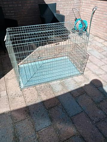 Bench voor grote hond zie foto en omschrijving beschikbaar voor biedingen