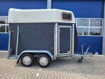 Leuke Sluis 1.5 paardentrailer kunststof bodem nette staat * beschikbaar voor biedingen