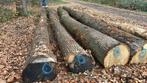 Zaagstammen Inlandse Eik, voor verzagen van planken/balken, Tuin en Terras, Palen, Balken en Planken, Ophalen of Verzenden, Zo goed als nieuw